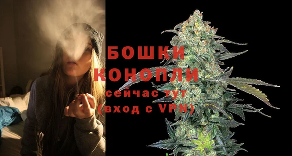 мдпв Осинники