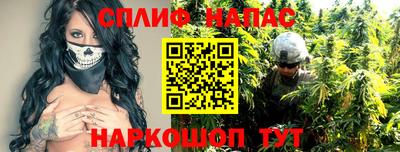 индика Аргун