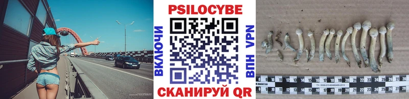 Псилоцибиновые грибы мухоморы  Москва 