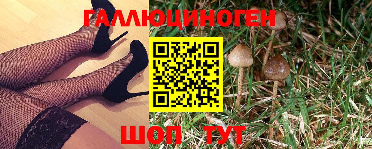 Псилоцибиновые грибы GOLDEN TEACHER  Москва 