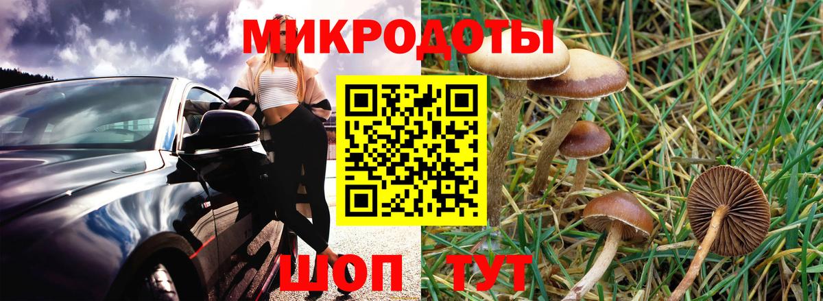 Галлюциногенные грибы GOLDEN TEACHER Москва