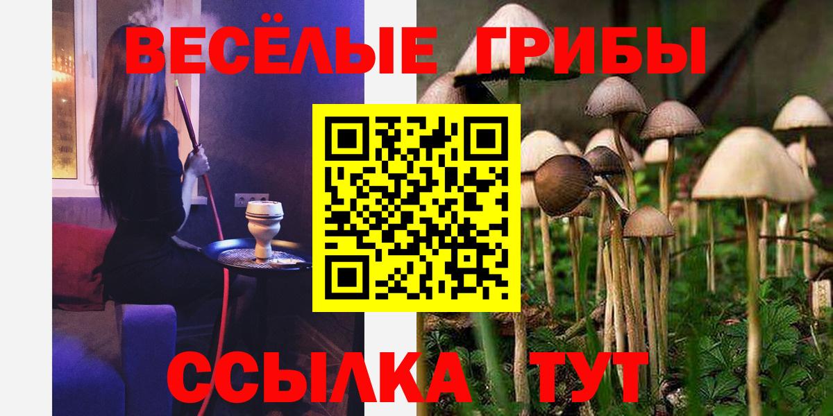 Москва  Псилоцибиновые грибы Cubensis  Вход с VPN  Псилоцибиновые грибы ЛСД 