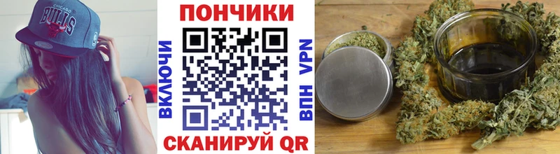 МЕГА ССЫЛКА  закладки  Москва  Бошки марихуана индика 